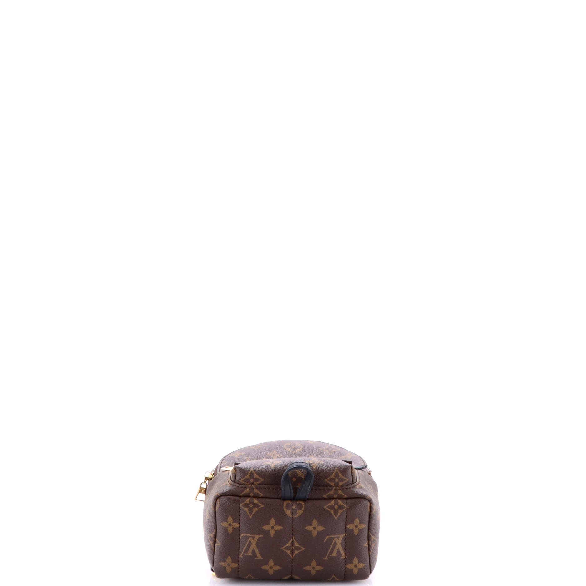 Palm Springs Backpack Monogram Canvas Mini