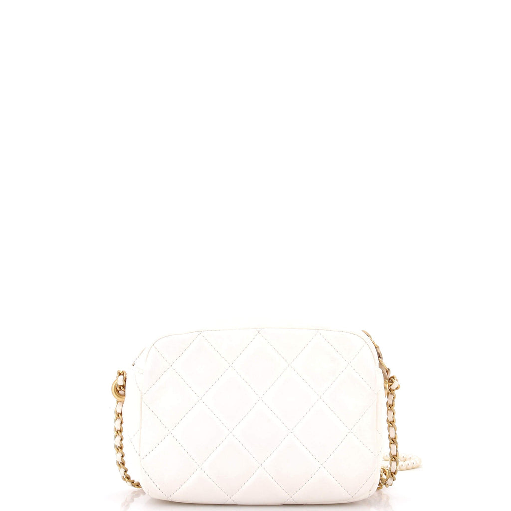 My Perfect Adjustable Chain Camera Bag Quilted Lambskin with Pearls Small