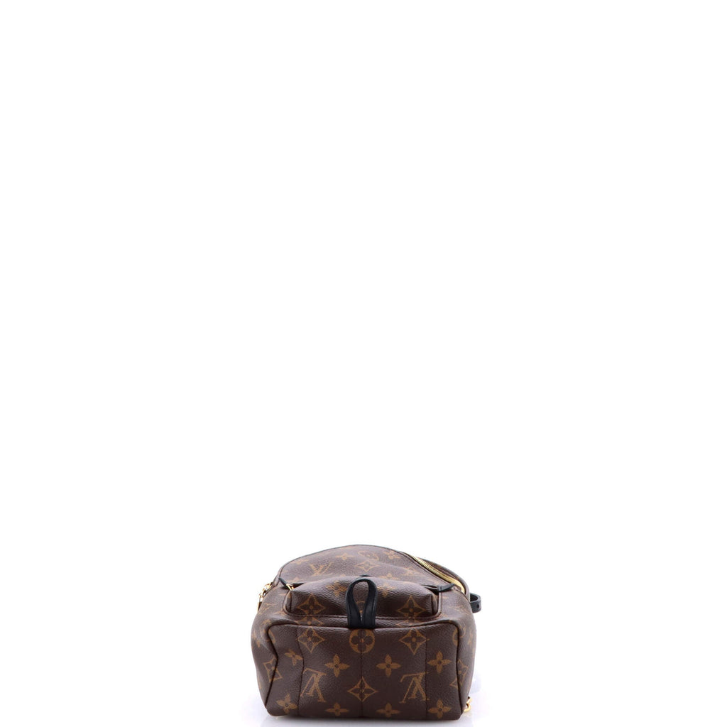 Palm Springs Backpack Monogram Canvas Mini
