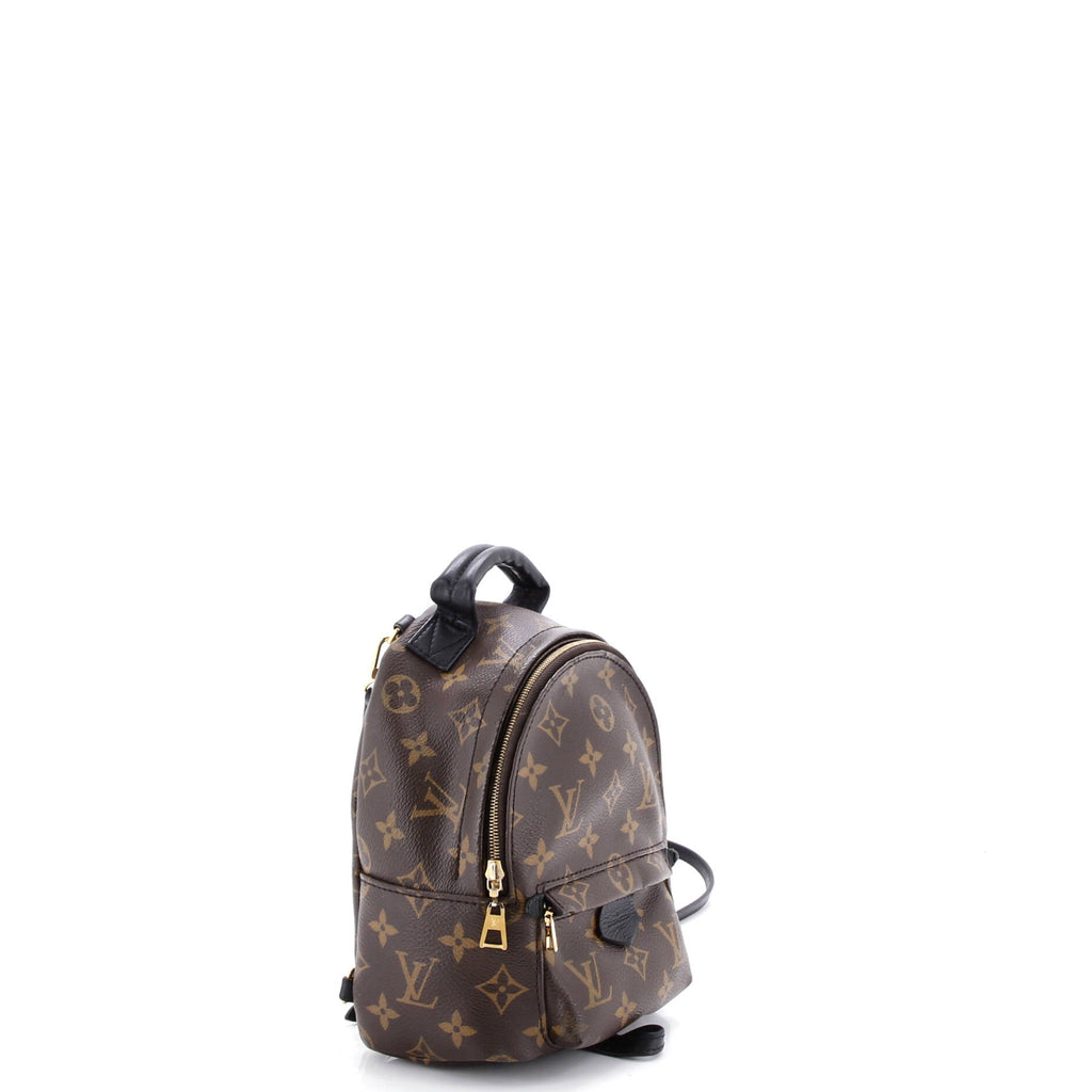 Palm Springs Backpack Monogram Canvas Mini