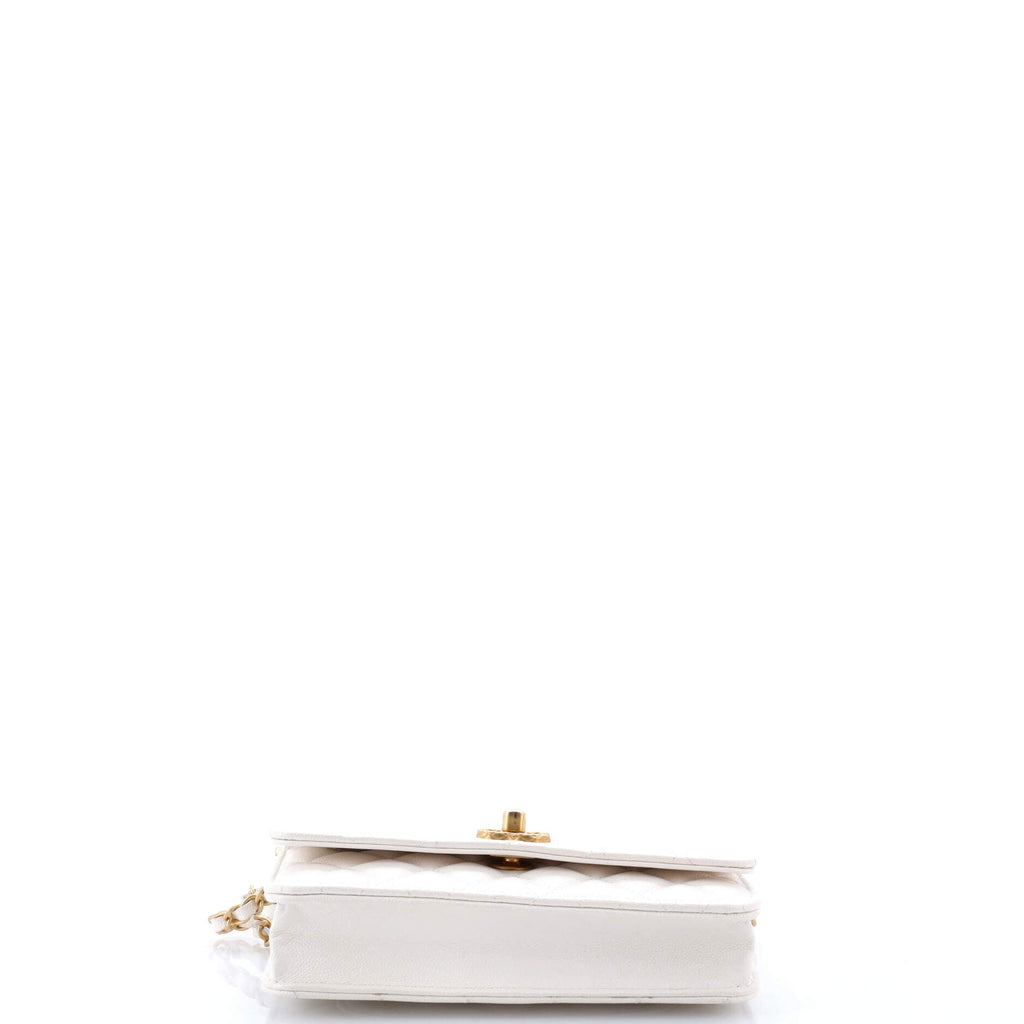Fit For You Wallet on Chain Quilted Iridescent Caviar