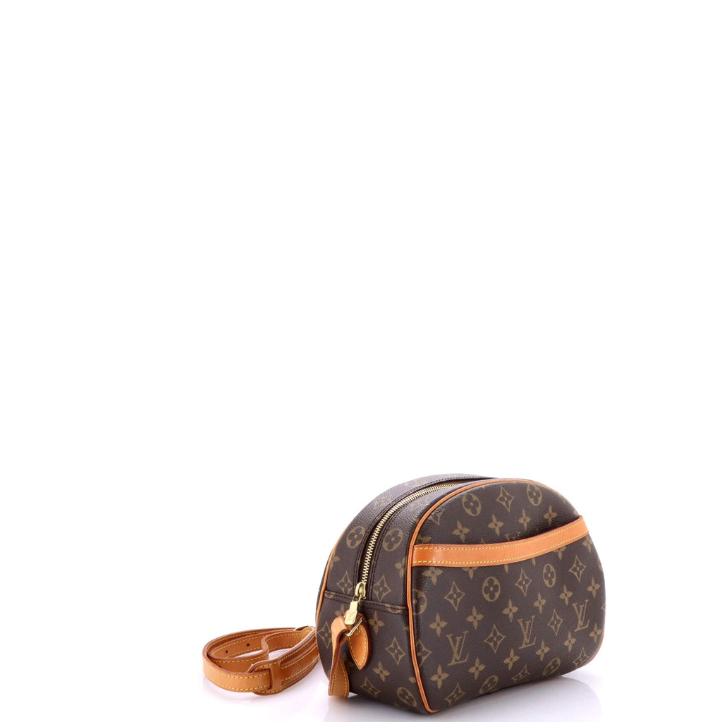 Blois Handbag Monogram Canvas