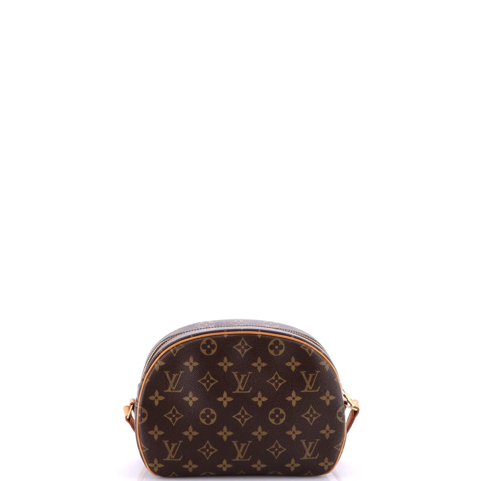 Blois Handbag Monogram Canvas
