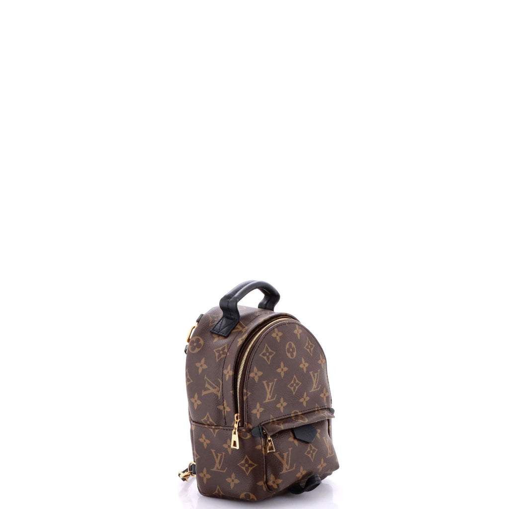 Palm Springs Backpack Monogram Canvas Mini