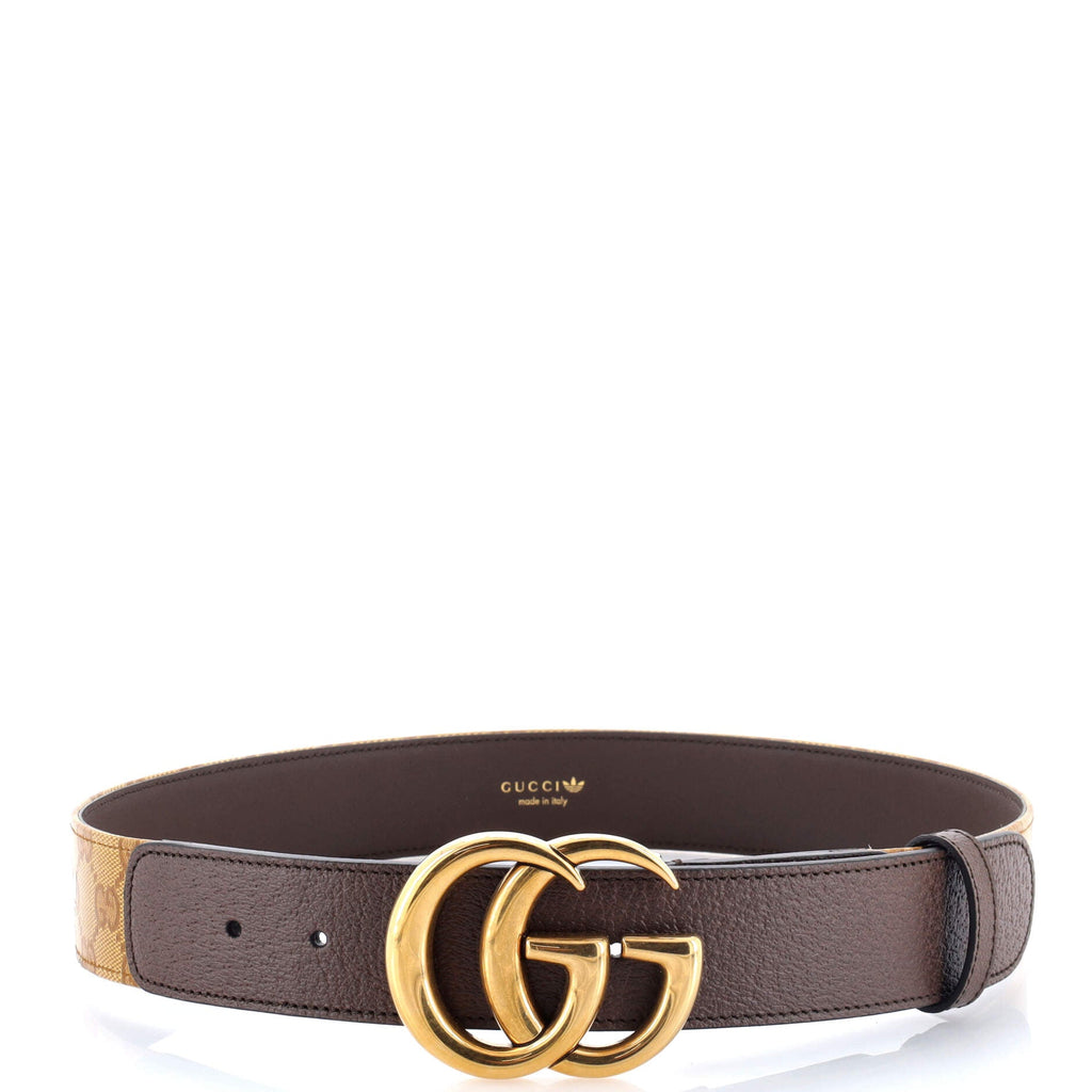 x adidas GG Marmont Belt GG Coated Canvas and Leather