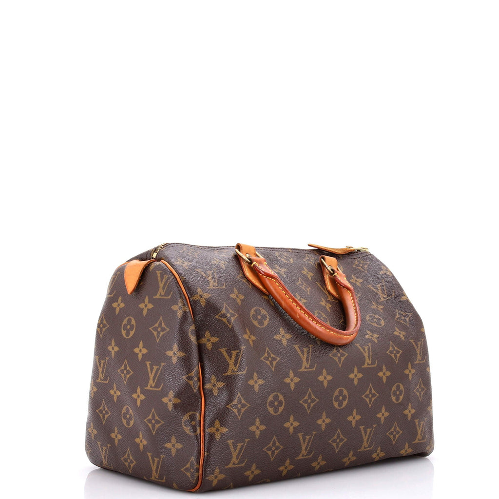 Speedy Handbag Monogram Canvas 30