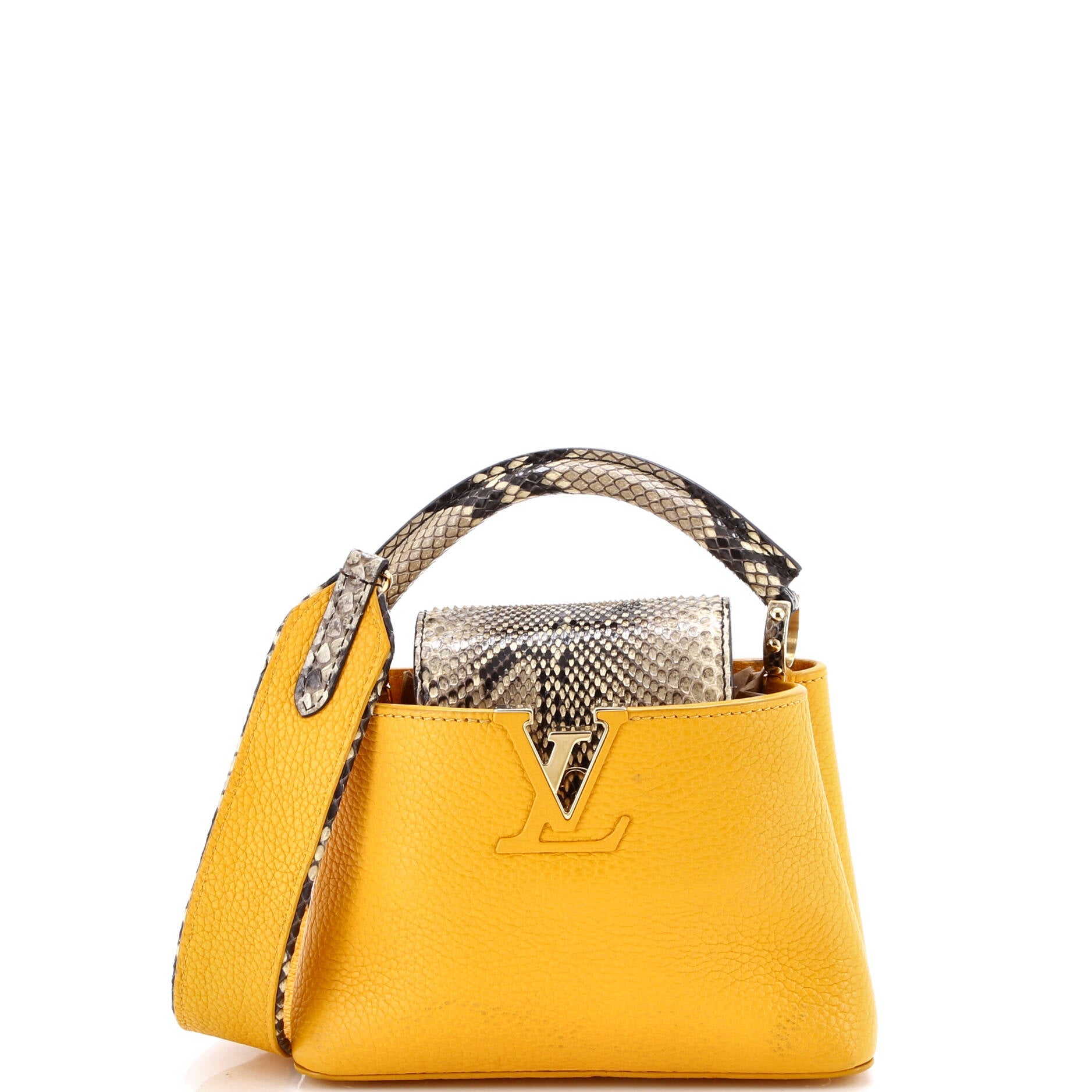 Capucines Bag Leather with Snakeskin Mini