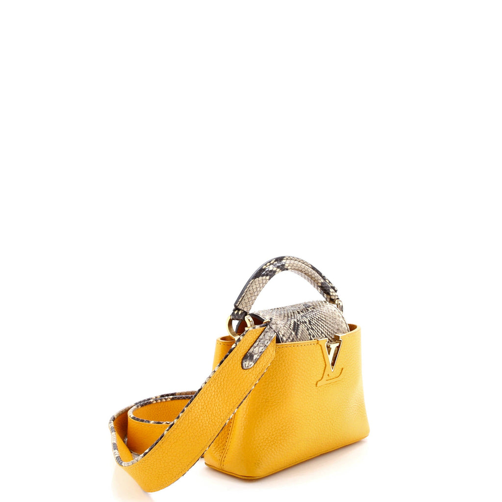 Capucines Bag Leather with Snakeskin Mini