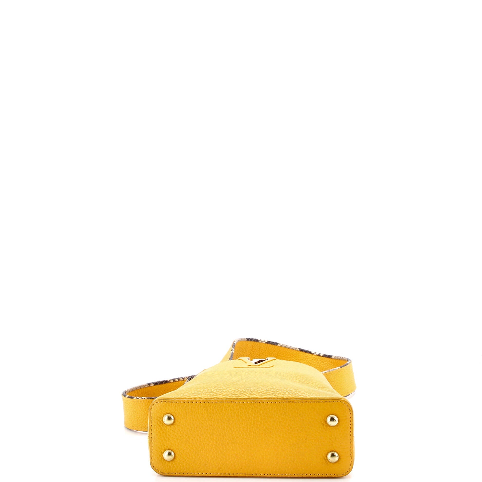 Capucines Bag Leather with Snakeskin Mini