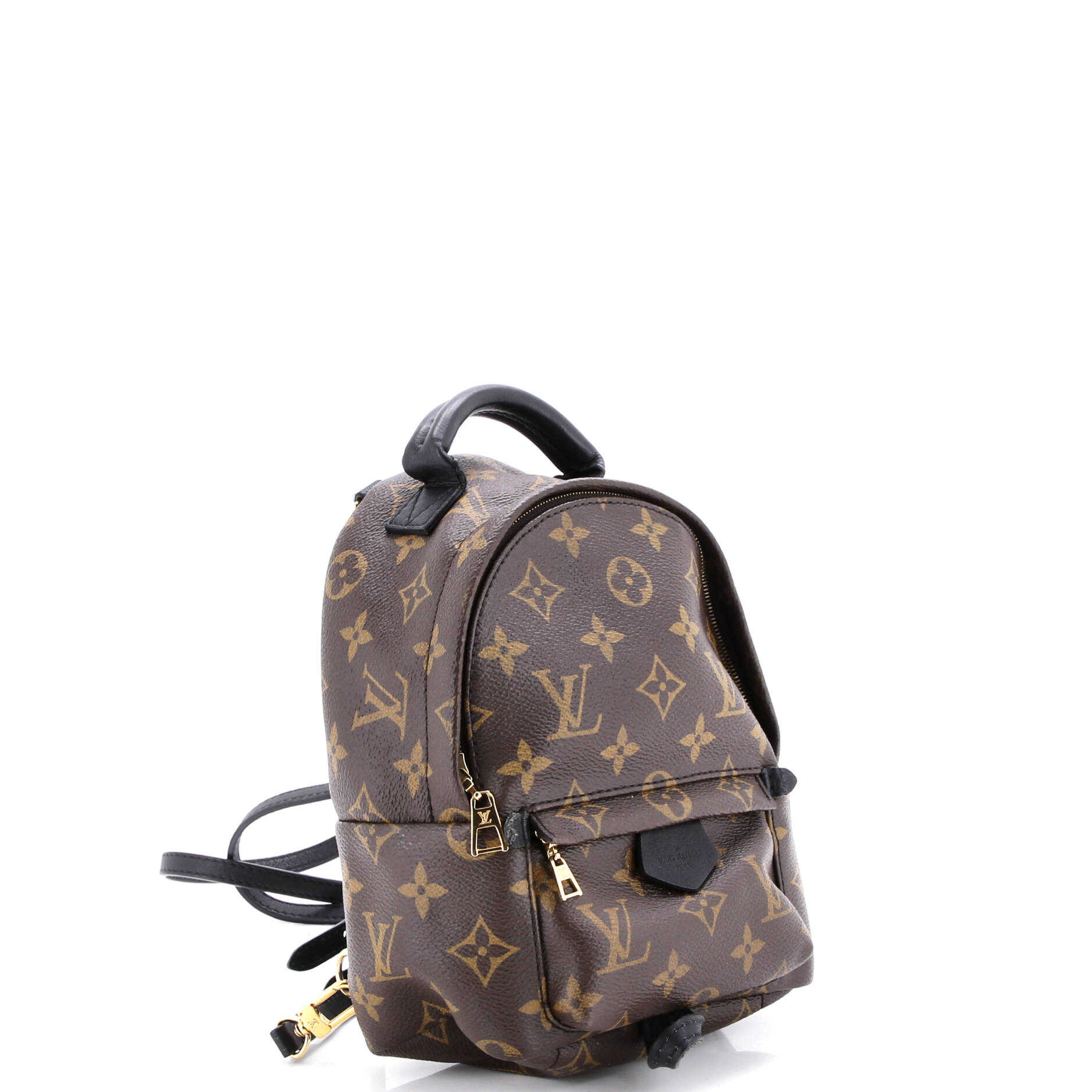Palm Springs Backpack Monogram Canvas Mini