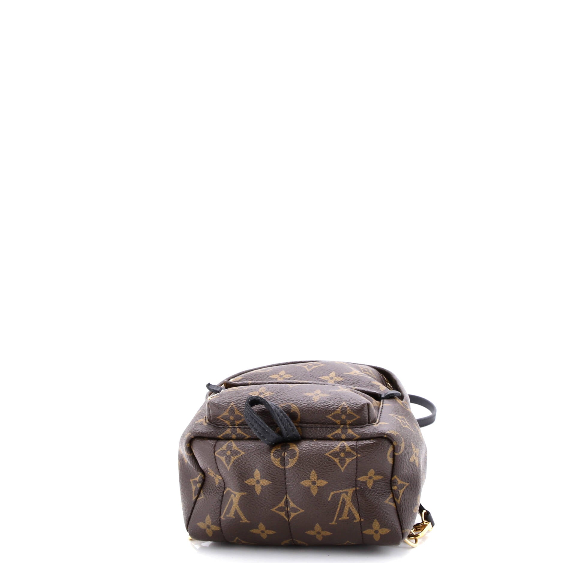 Palm Springs Backpack Monogram Canvas Mini