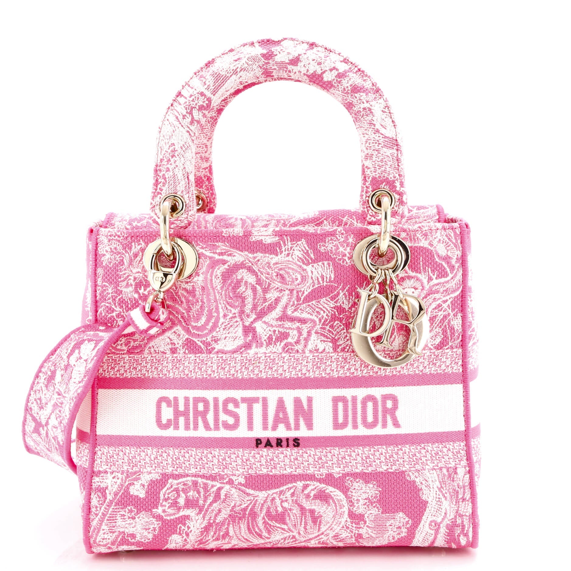Toile de Jouy Lady D-Lite Bag Embroidered Canvas