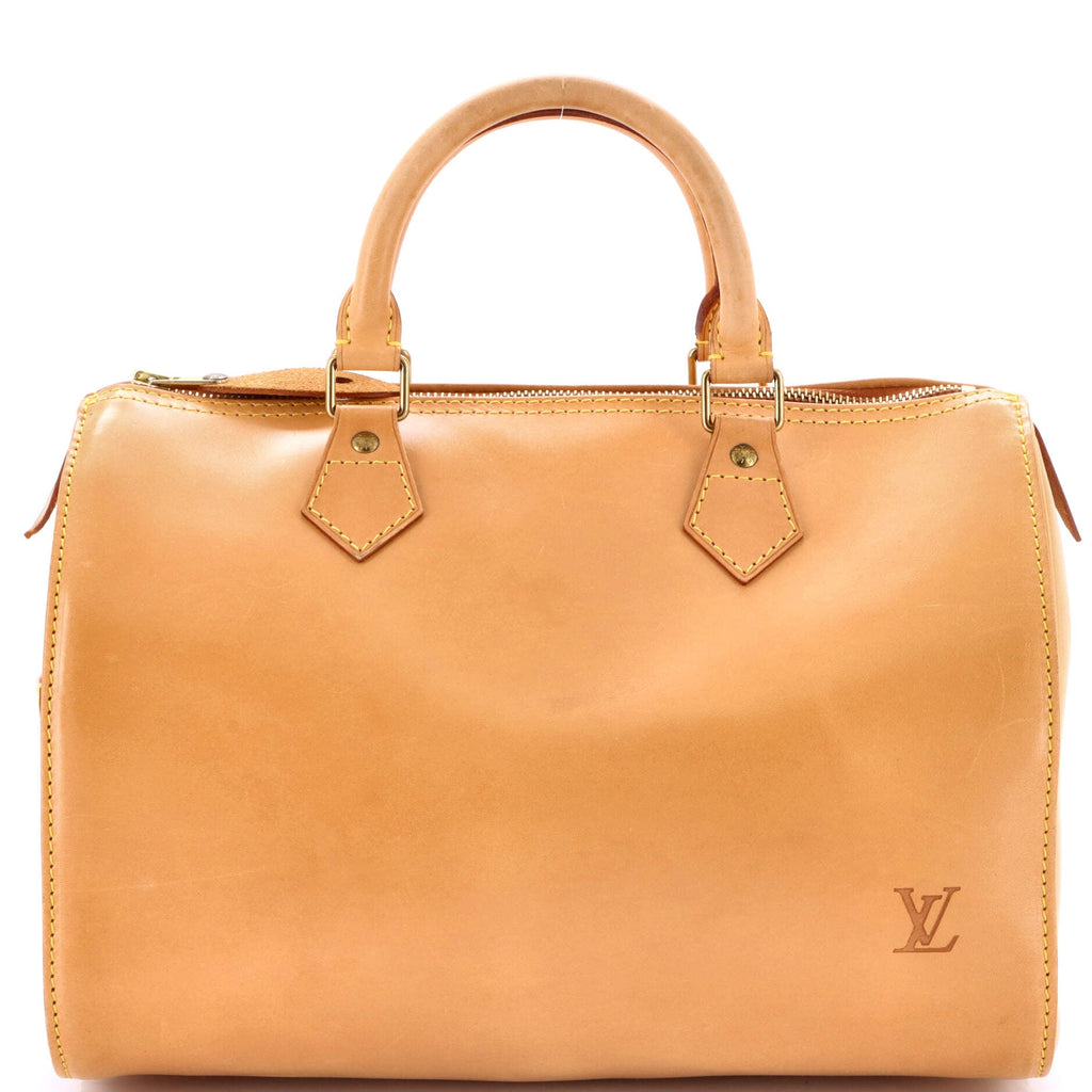 Speedy Handbag Nomade Leather 30