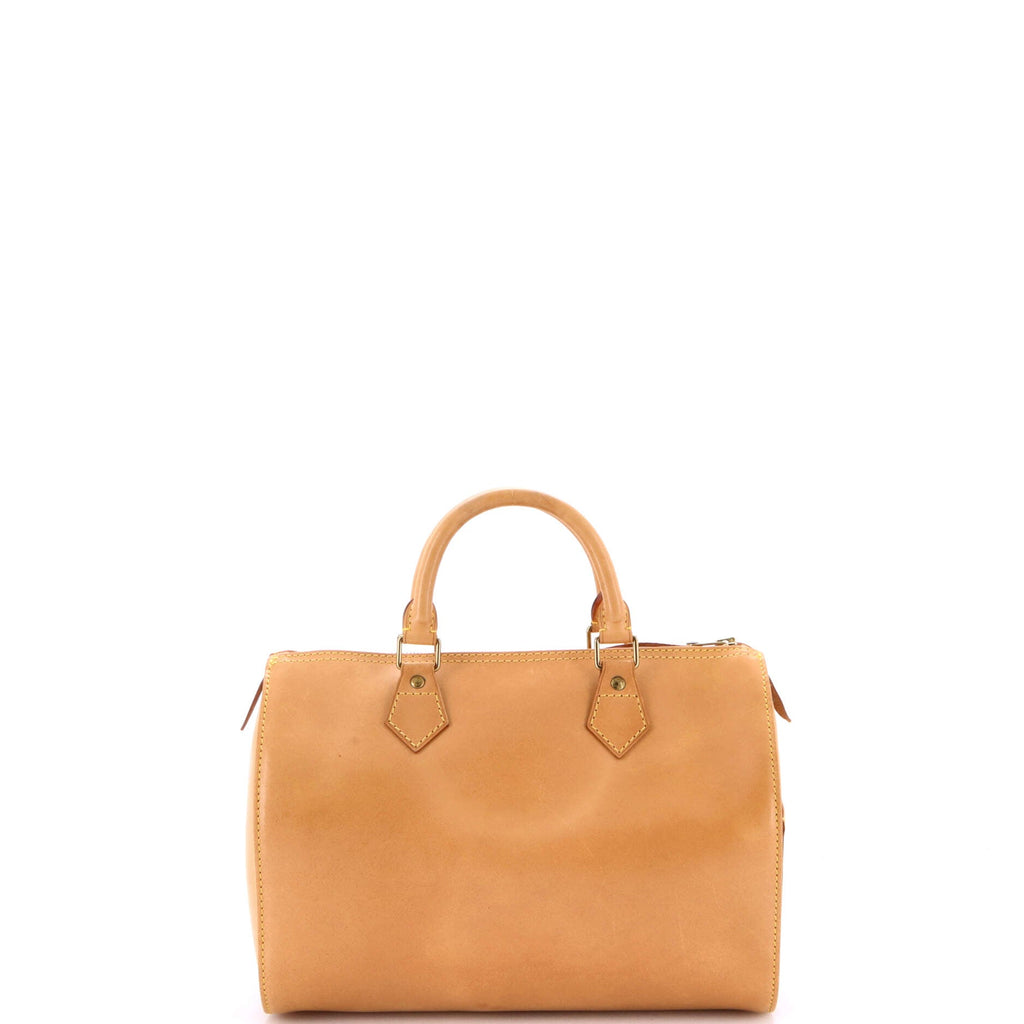 Speedy Handbag Nomade Leather 30