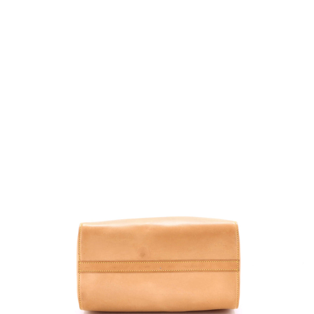 Speedy Handbag Nomade Leather 30