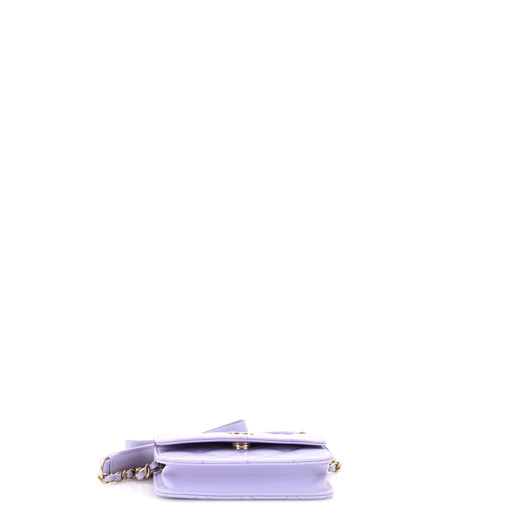 Bow Strap Card Holder on Chain Quilted Lambskin