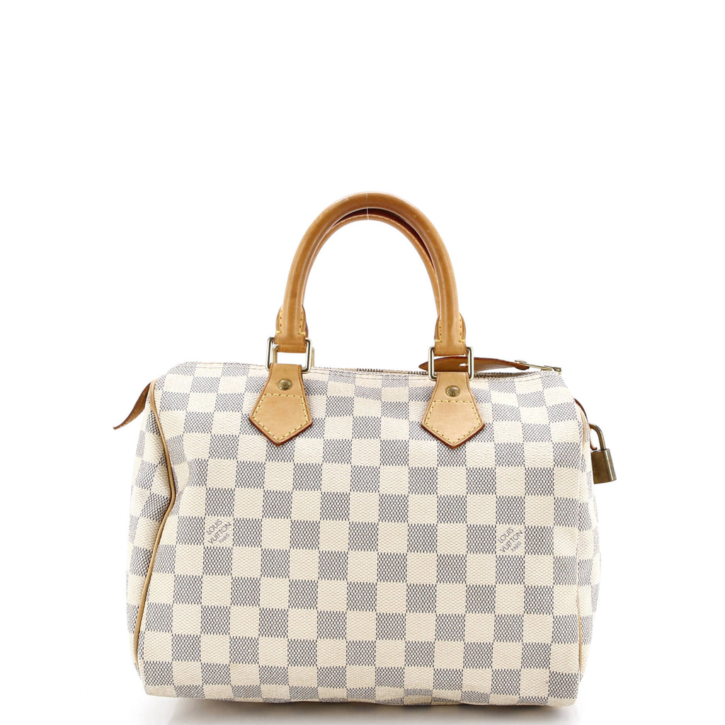 Speedy Handbag Damier 25