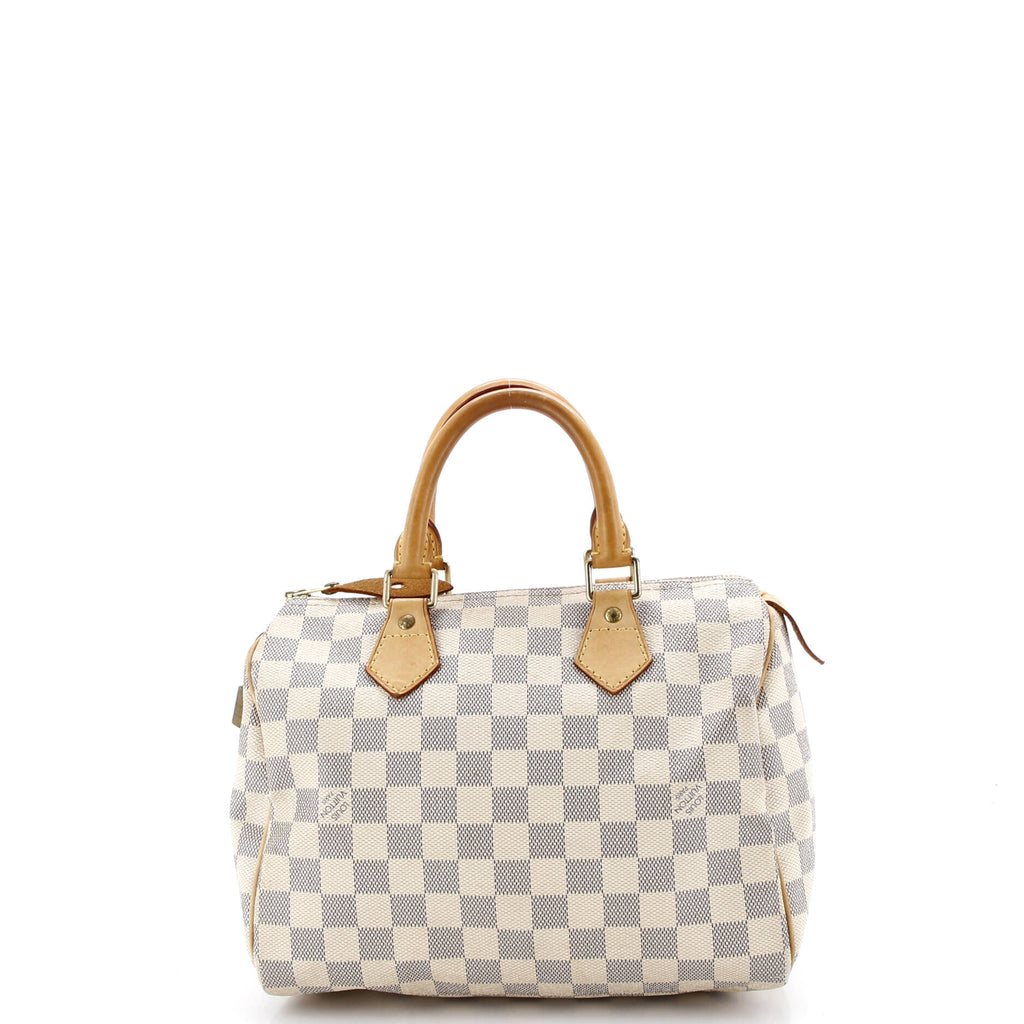 Speedy Handbag Damier 25