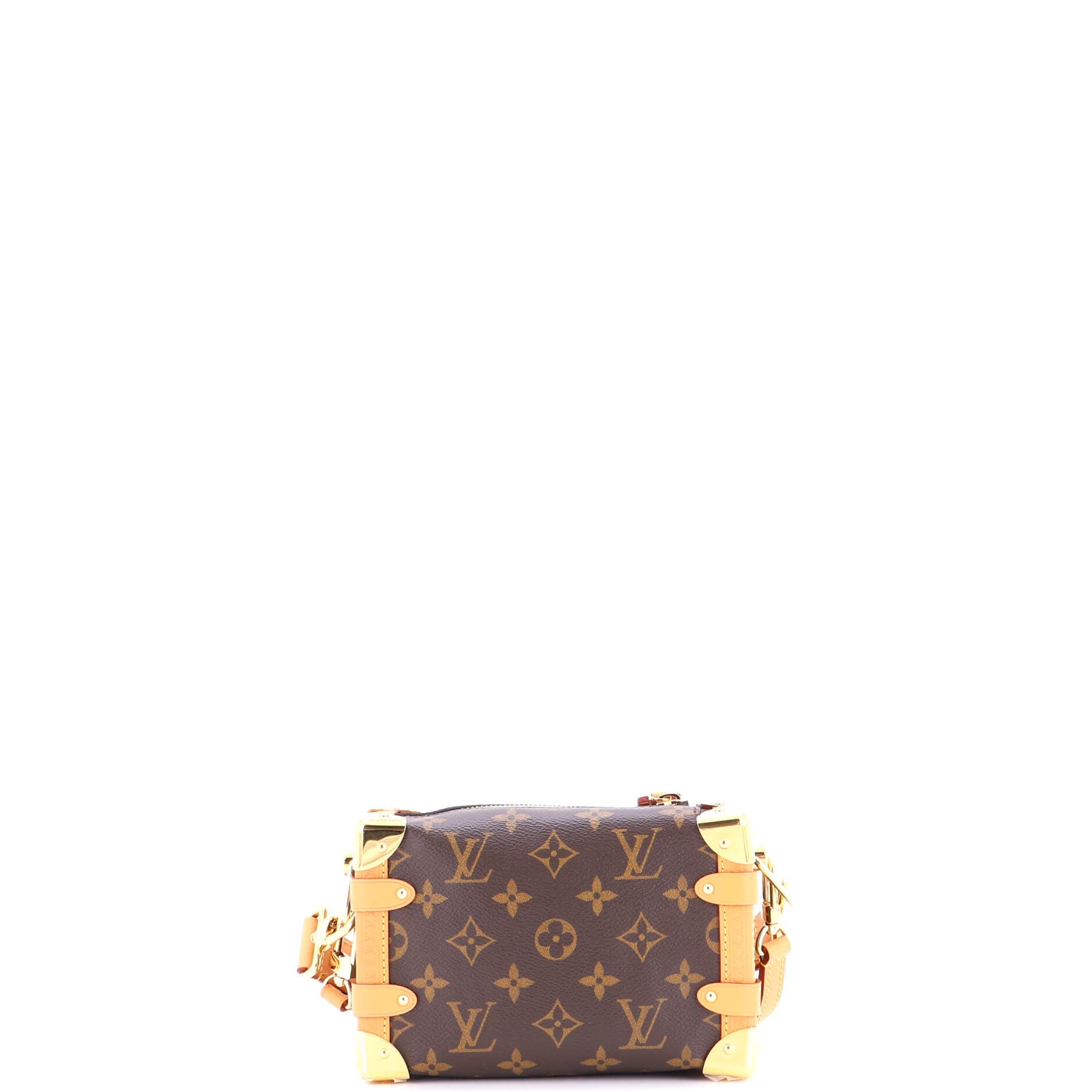 Side Trunk Handbag Monogram Canvas PM