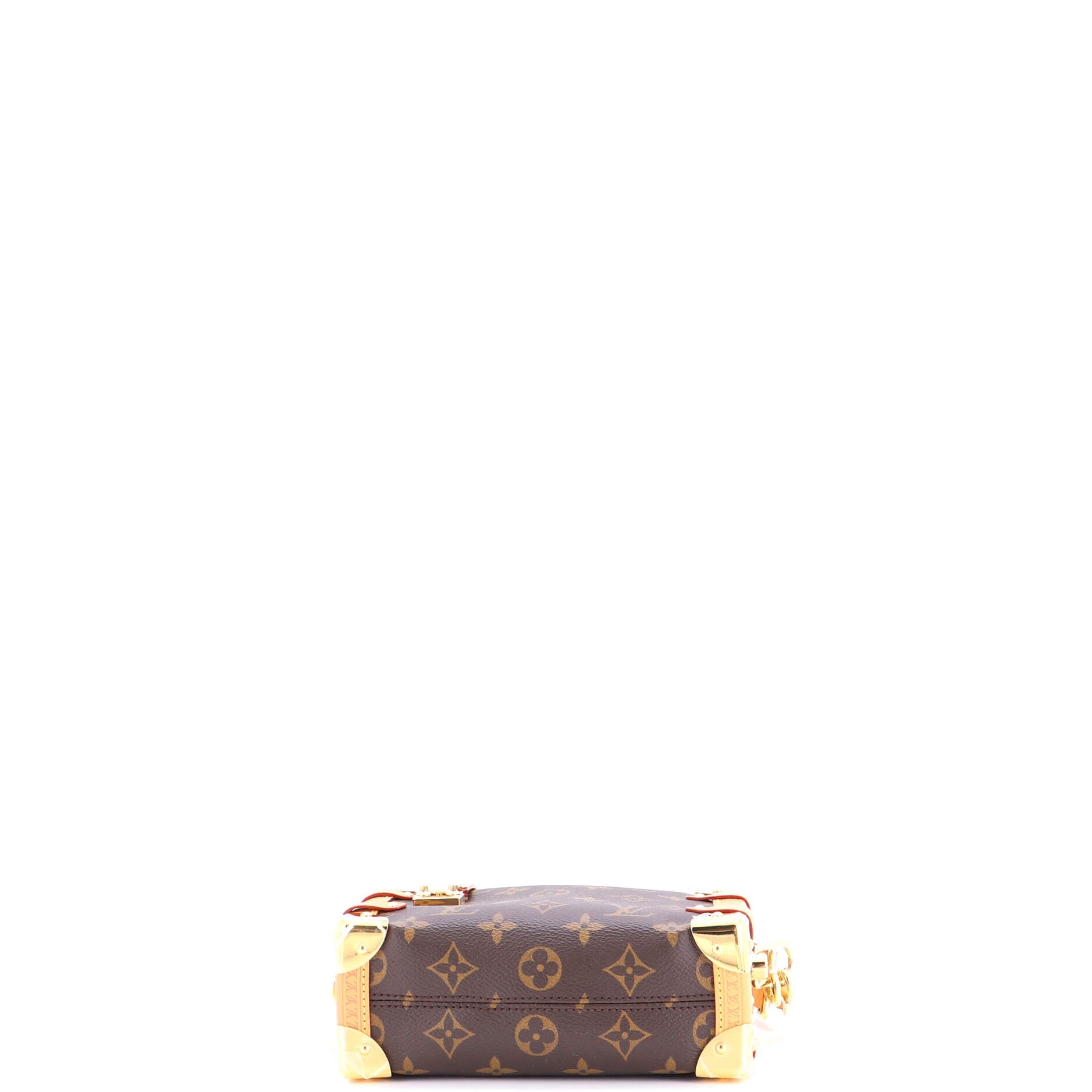 Side Trunk Handbag Monogram Canvas PM