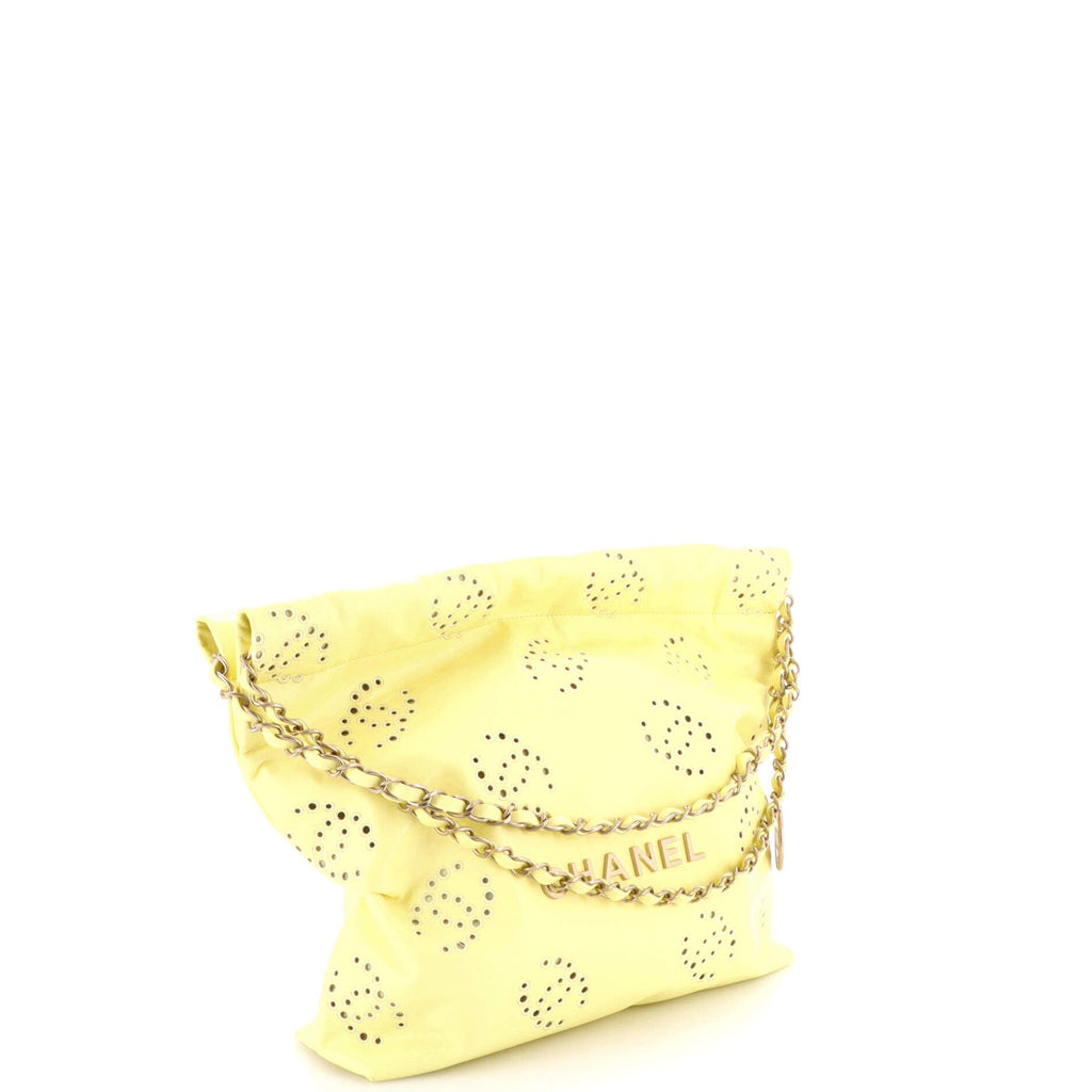 22 Chain Hobo CC Eyelet Embroidered Calfskin Small