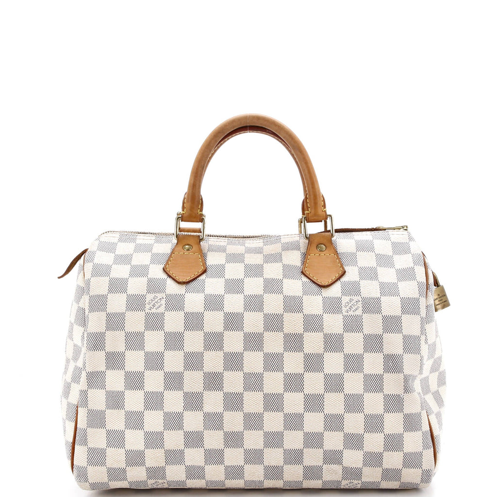 Speedy Handbag Damier 30