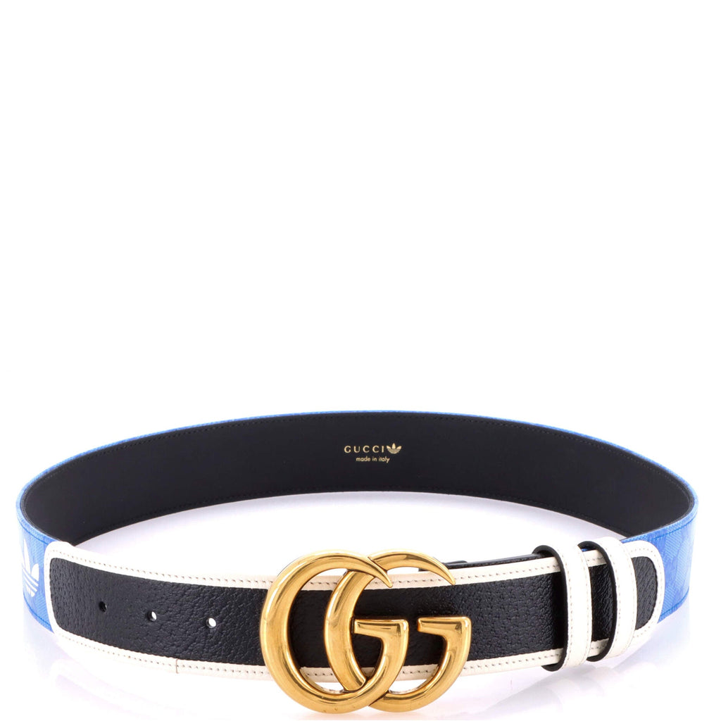 x adidas GG Marmont Belt GG Coated Canvas and Leather 85