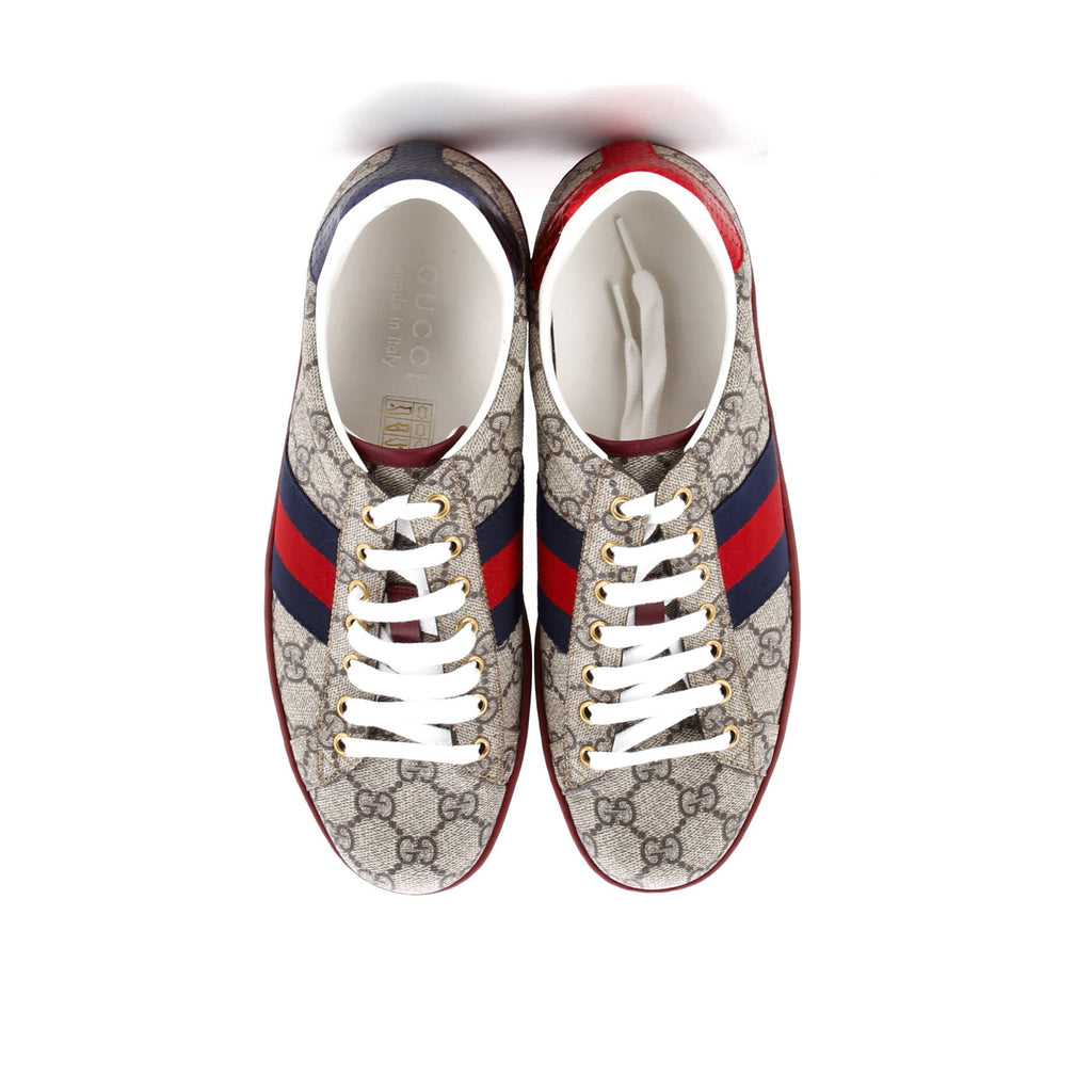 Ace Sneakers GG Coated Canvas