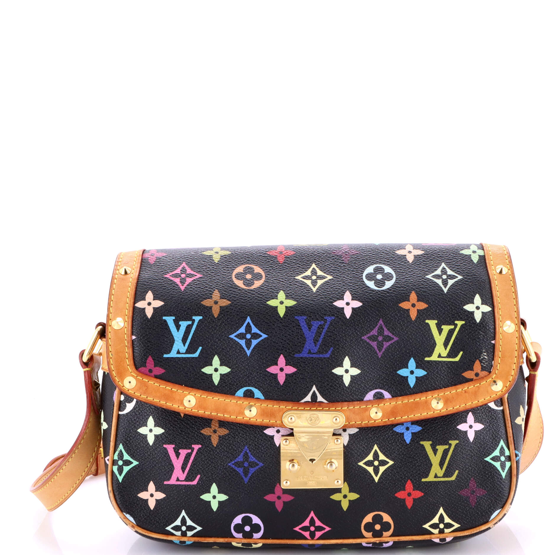 Sologne Handbag Monogram Multicolor