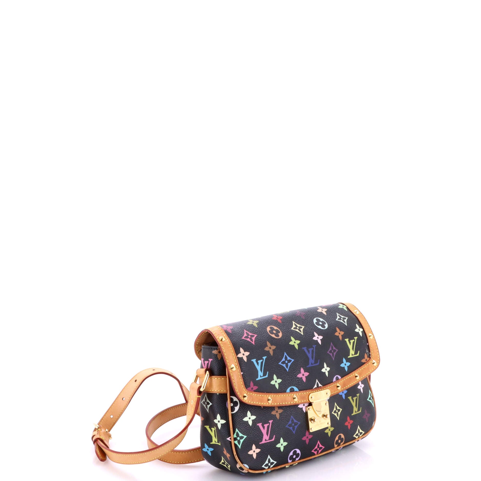 Sologne Handbag Monogram Multicolor