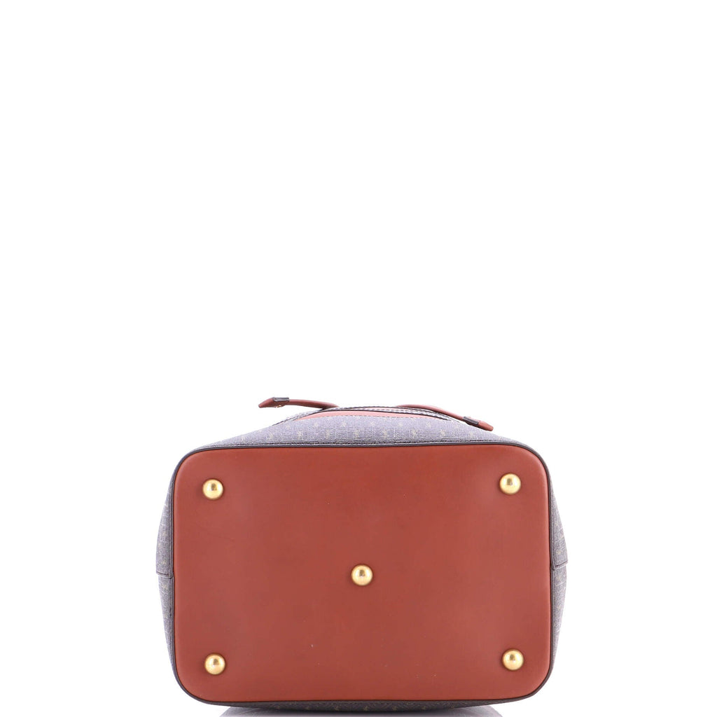 Le Monogramme Striped Bucket Bag Monogram All Over Coated Canvas and Leather