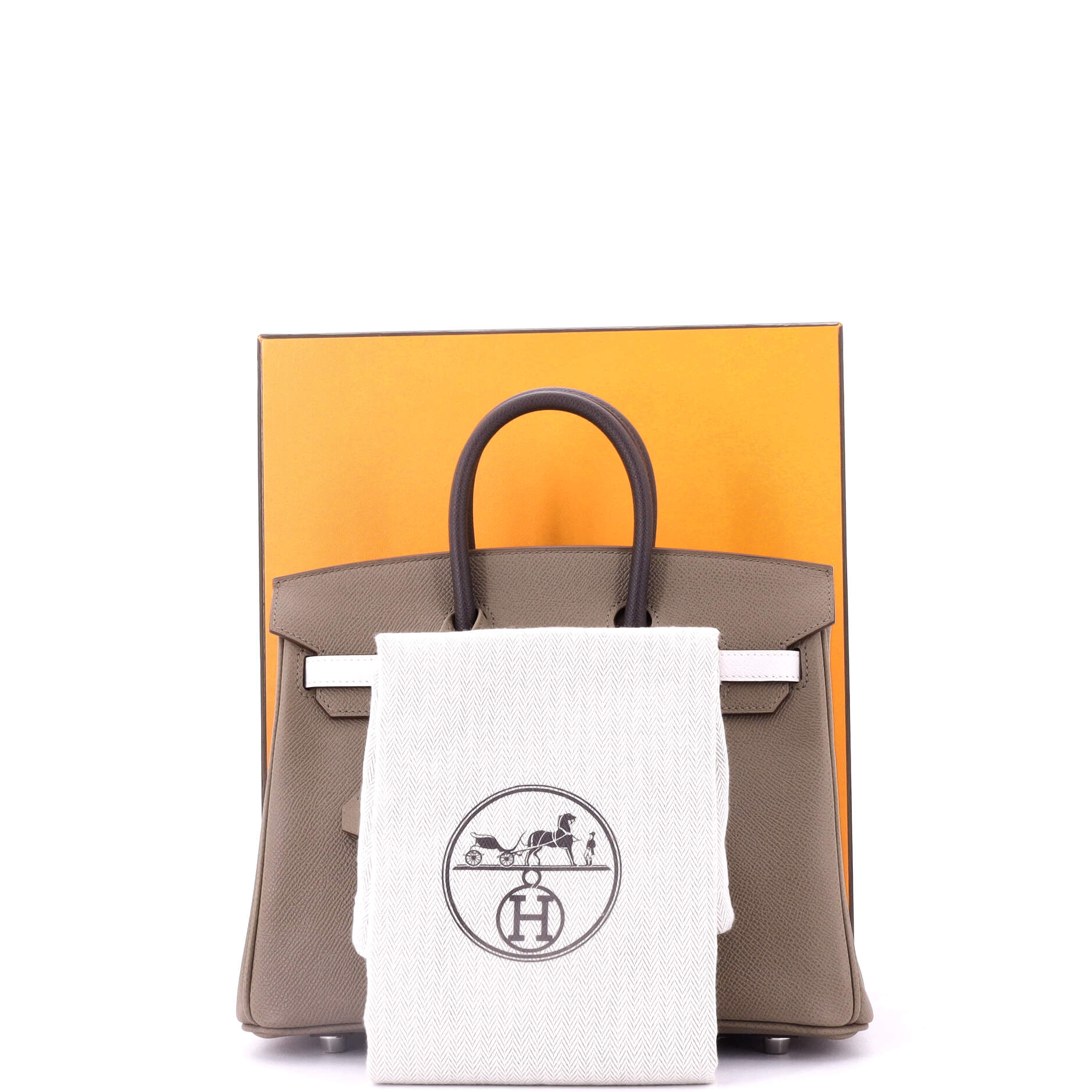 Birkin Handbag Tricolor Epsom with Palladium Hardware 25