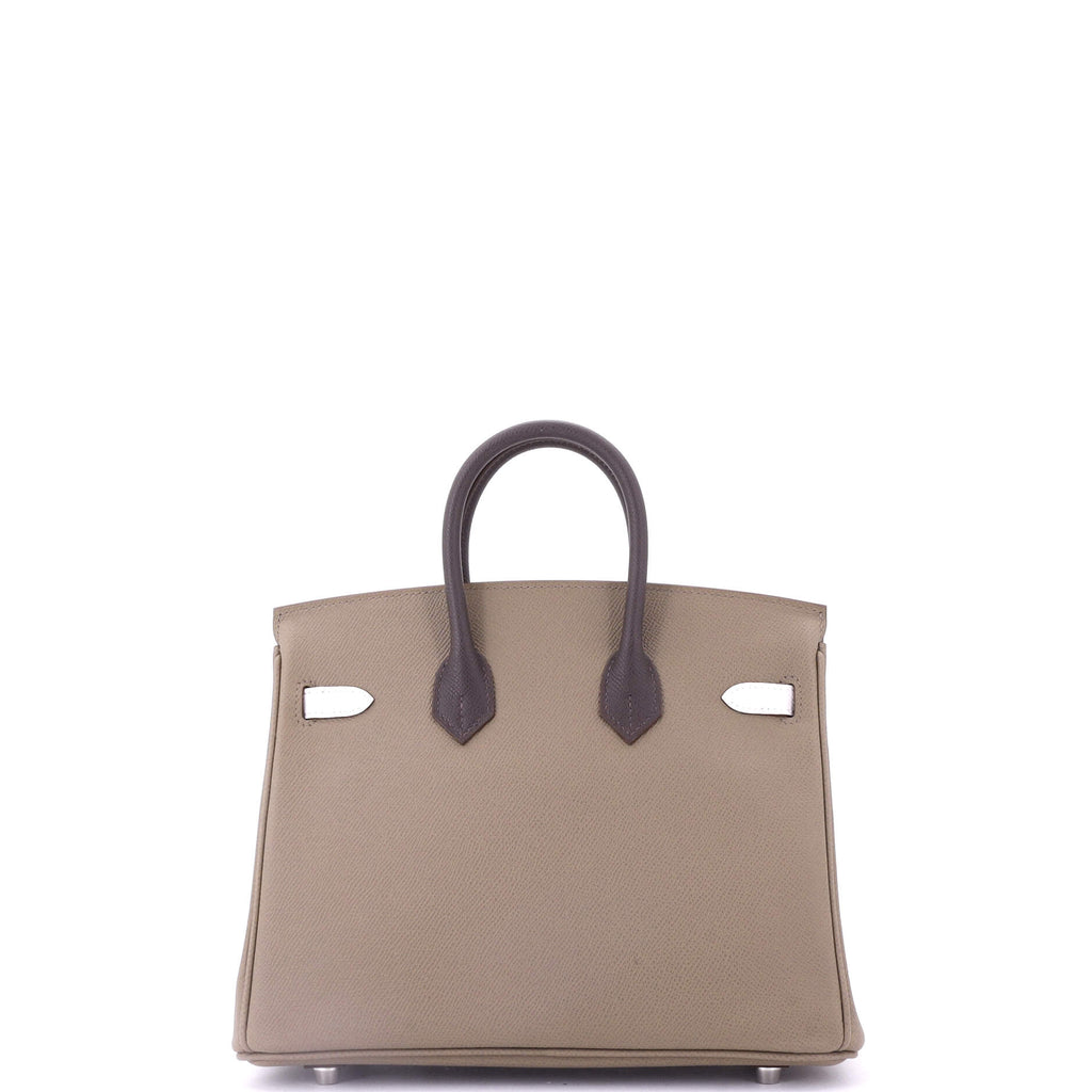 Birkin Handbag Tricolor Epsom with Palladium Hardware 25