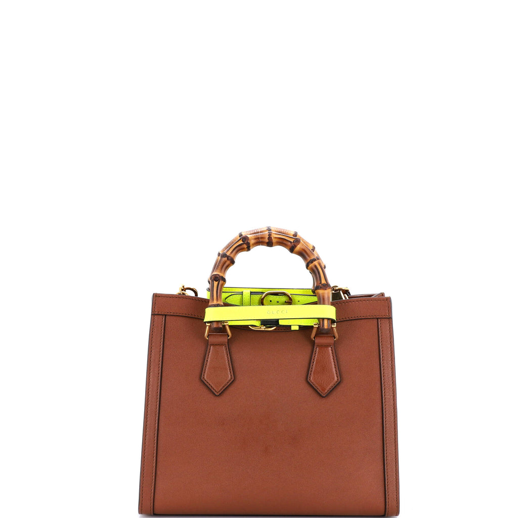 Diana NM Bamboo Handle Tote Leather Small