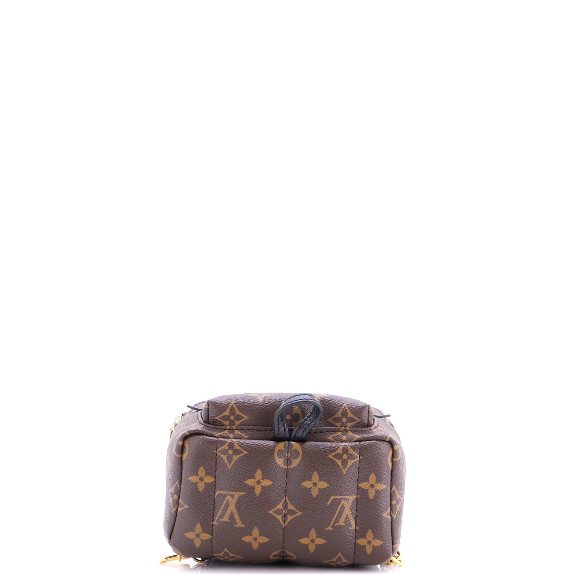 Palm Springs Backpack Monogram Canvas Mini