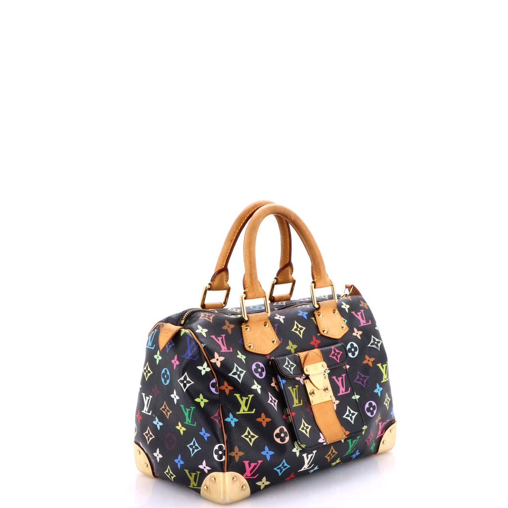 Speedy Handbag Monogram Multicolor 30
