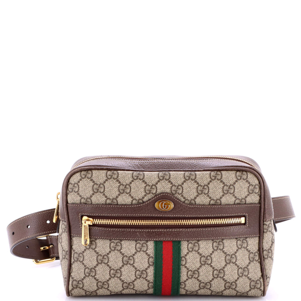 Ophidia Belt Bag GG Coated Canvas Medium