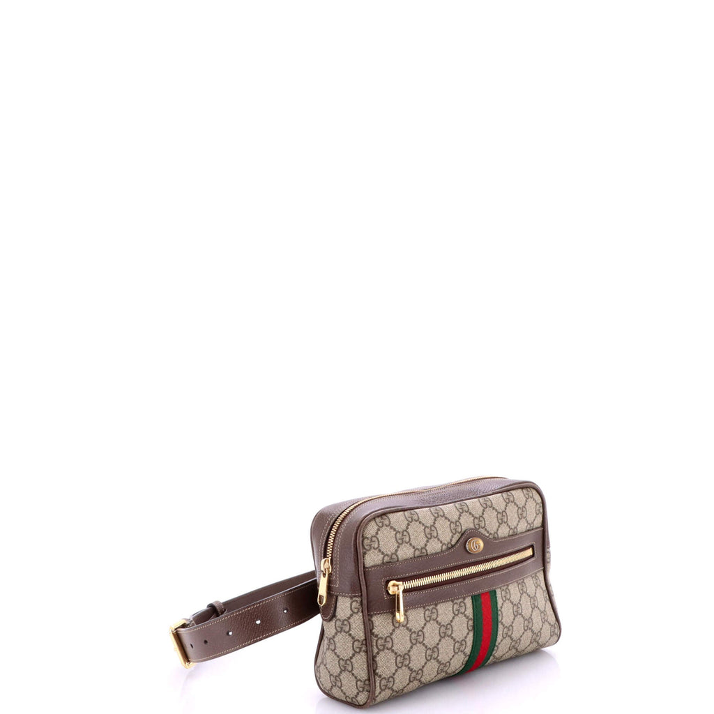 Ophidia Belt Bag GG Coated Canvas Medium