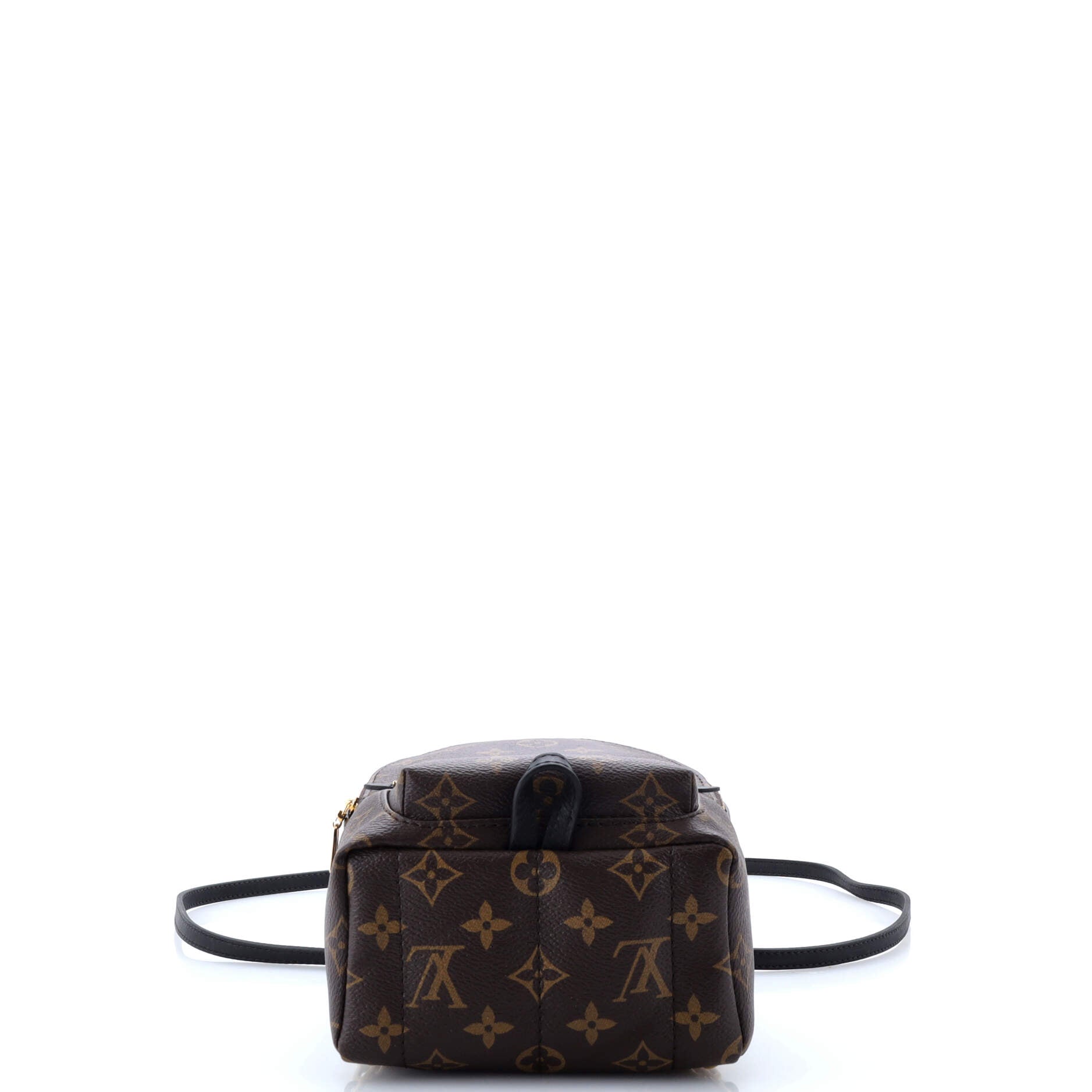 Palm Springs Backpack Monogram Canvas Mini