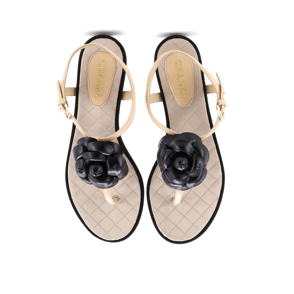 Women's Camellia T-Strap Sandals Leather