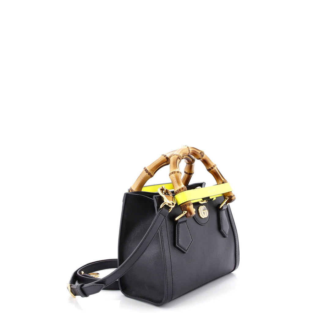 Diana NM Bamboo Handle Tote Leather Mini