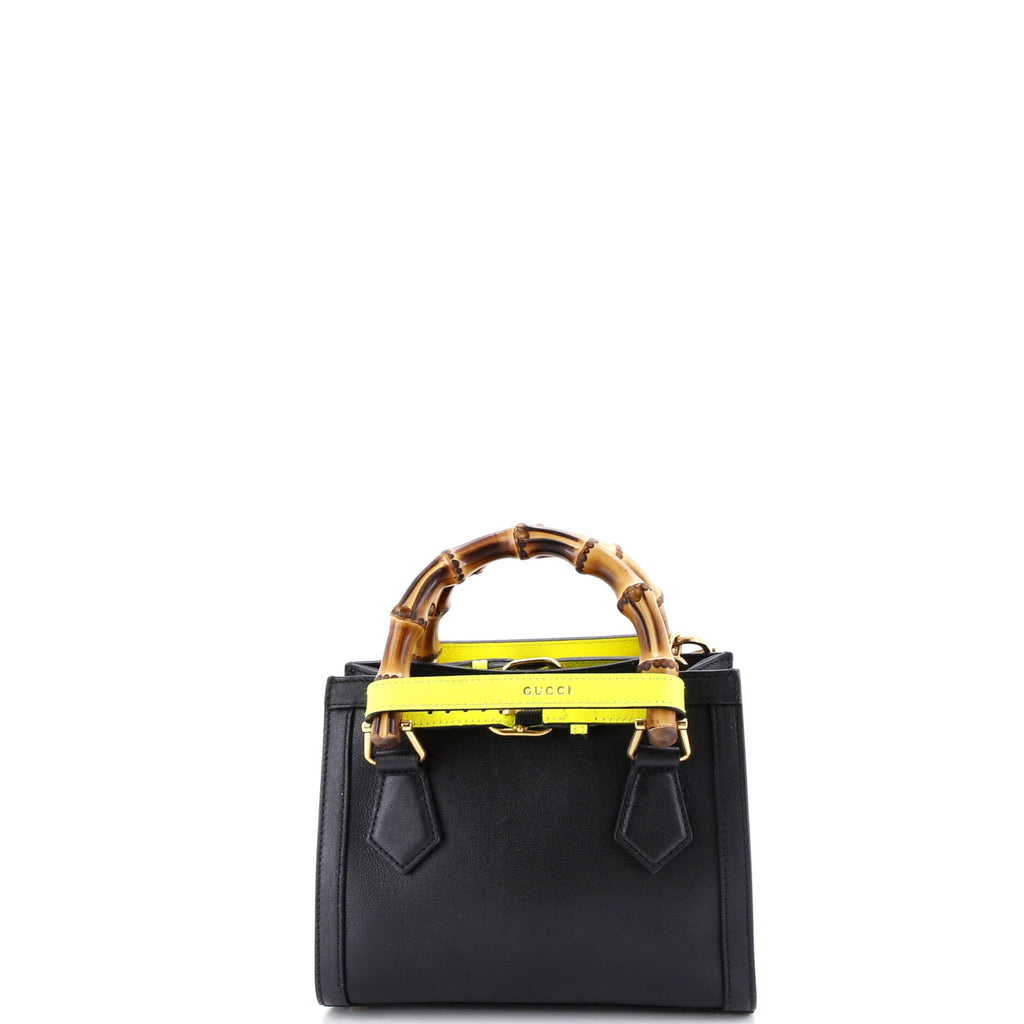 Diana NM Bamboo Handle Tote Leather Mini