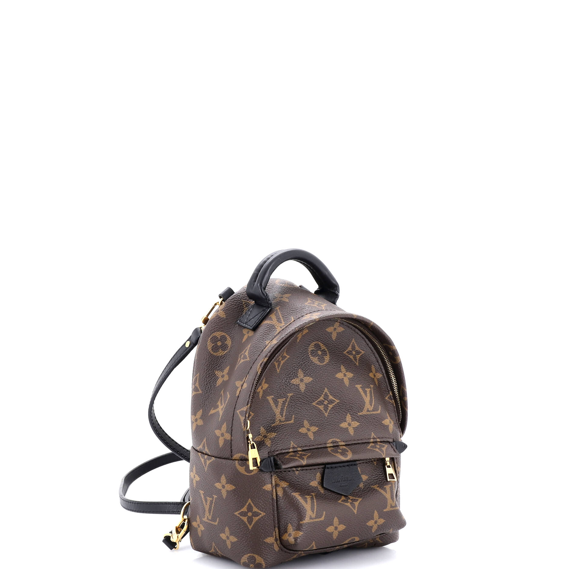 Palm Springs Backpack Monogram Canvas Mini