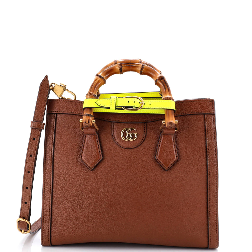 Diana NM Bamboo Handle Tote Leather Small