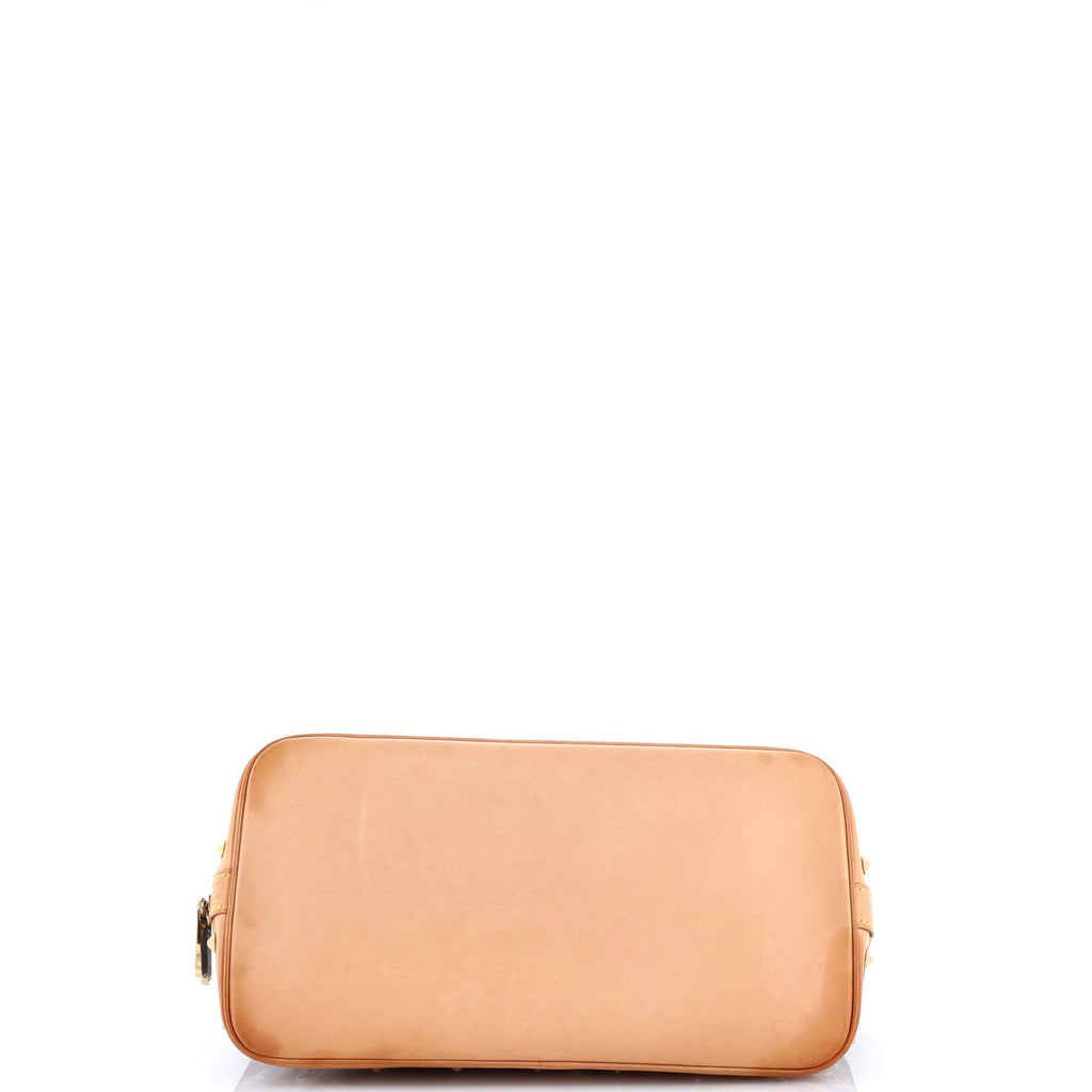 Alma Handbag Monogram Multicolor PM