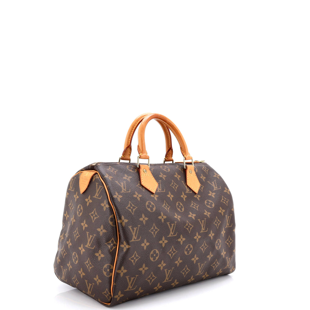 Speedy Handbag Monogram Canvas 30