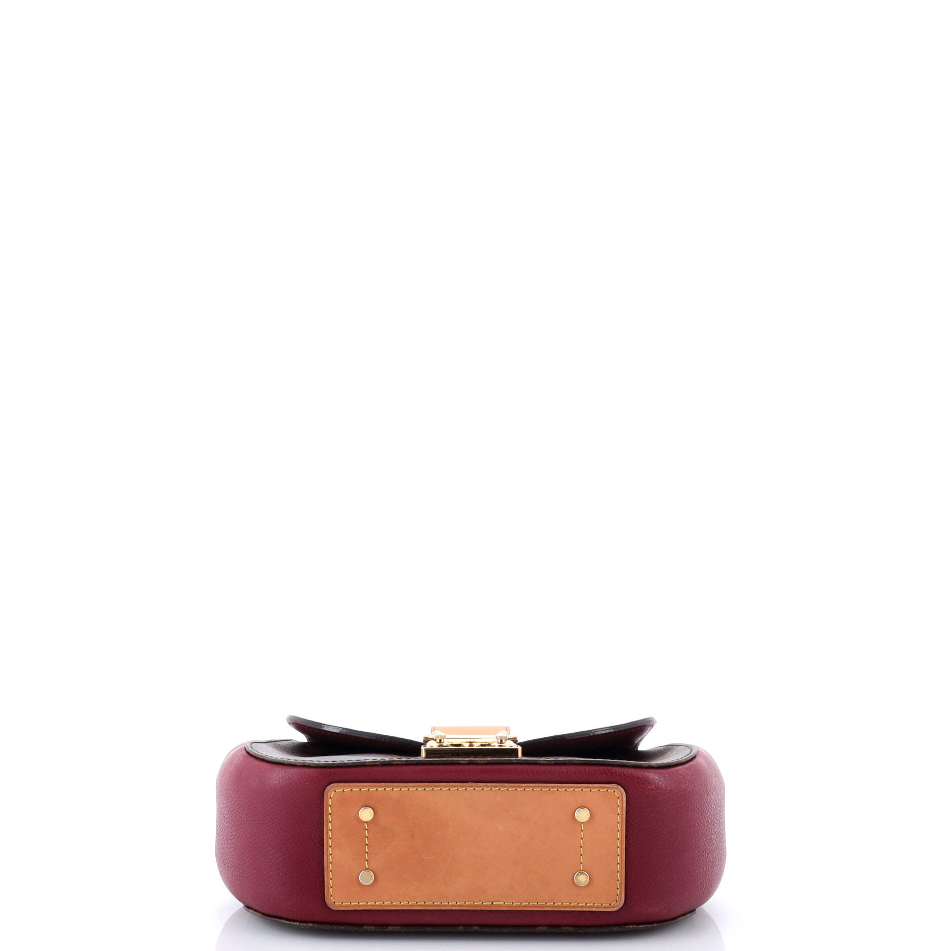 Eden Handbag Monogram Canvas PM