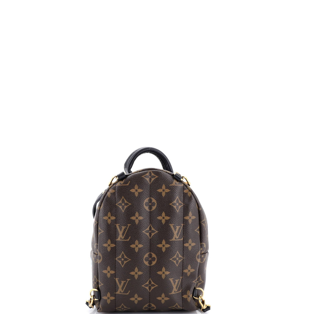 Palm Springs Backpack Limited Edition World Tour Monogram Canvas Mini