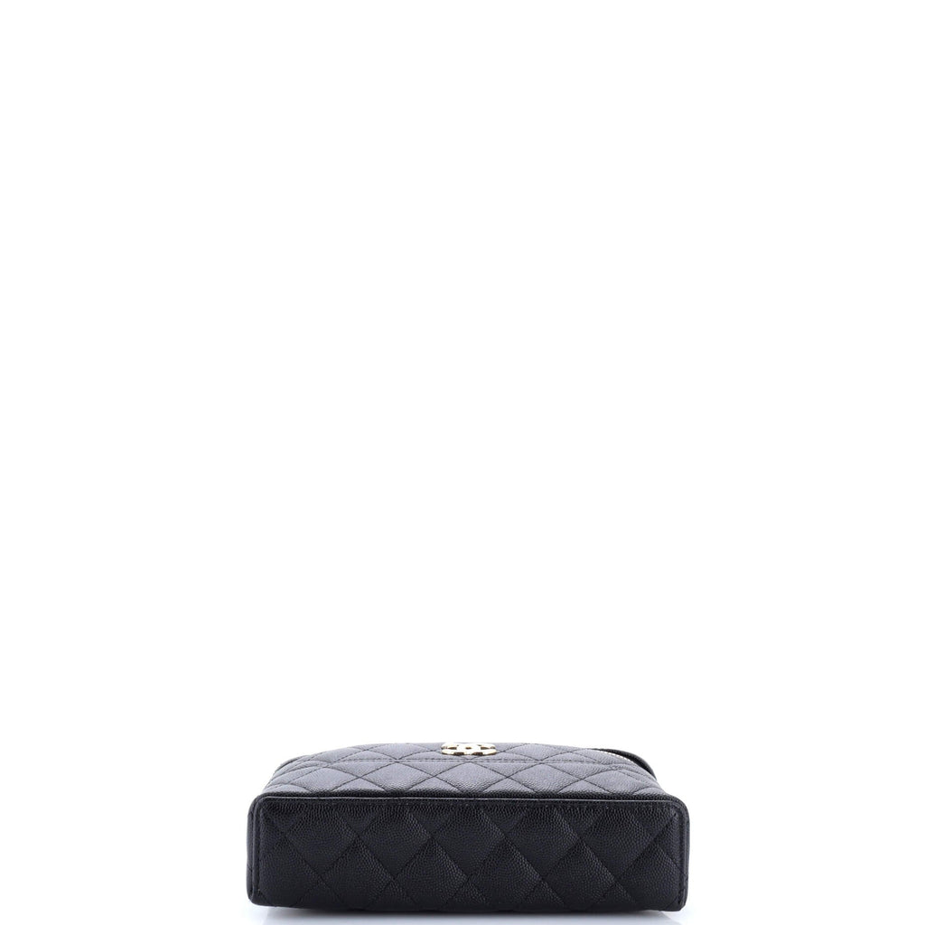 Trendy Handle Slim Vanity Case with Chain Quilted Caviar
