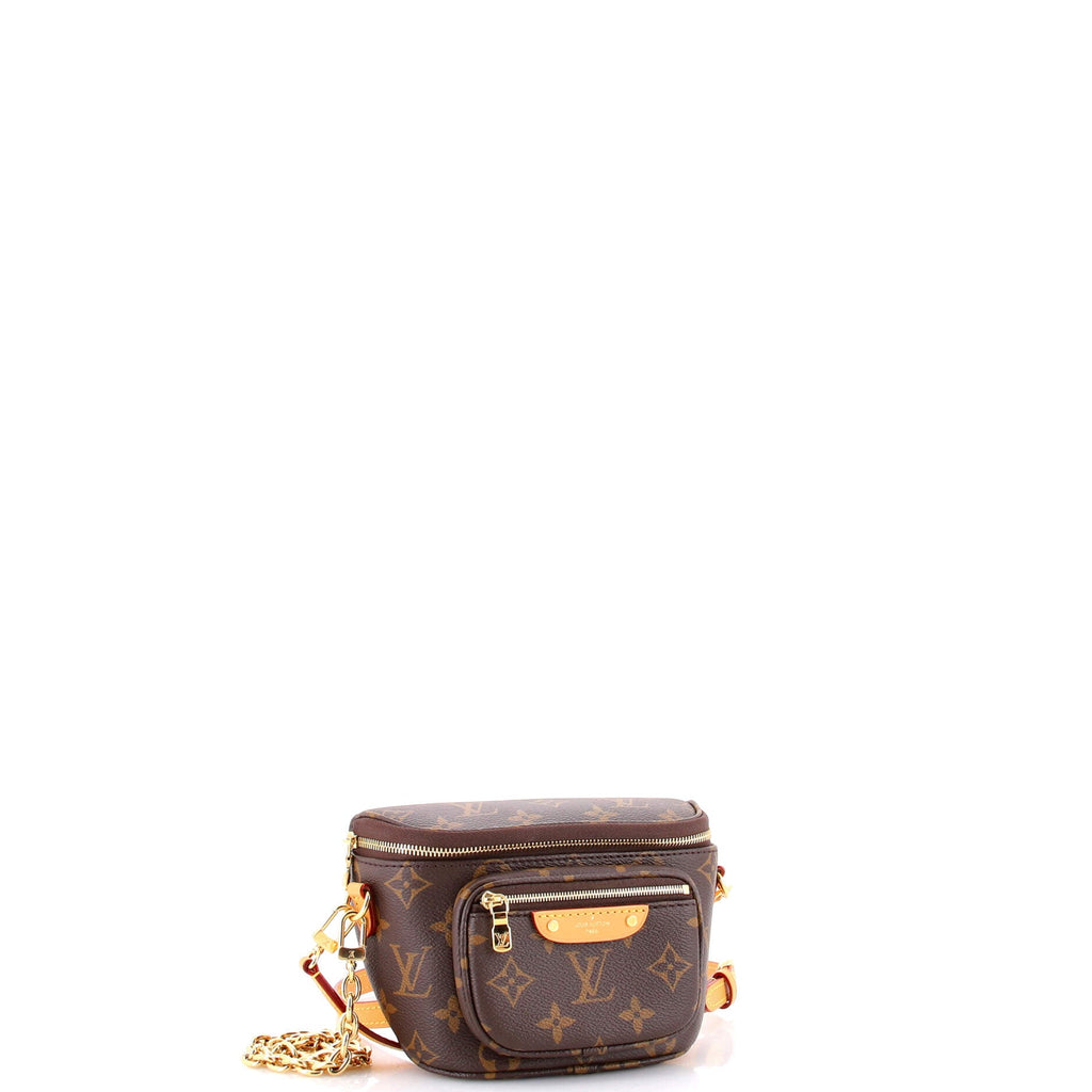 Bum Bag Monogram Canvas Mini
